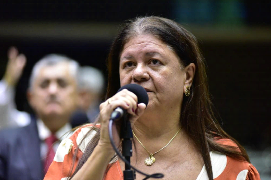 Laura Carneiro assume coordenação de pesquisa mineral da Frente Parlamentar da Mineração Sustentável